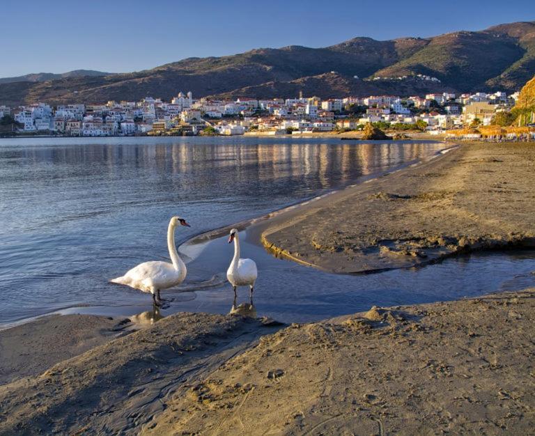 Πλατανακι 2 Seaview Apartment Ándros Eksteriør bilde